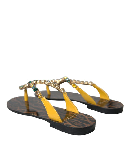 Dolce & Gabbana Mustard Crystal Calf Leather Beachwear Shoes