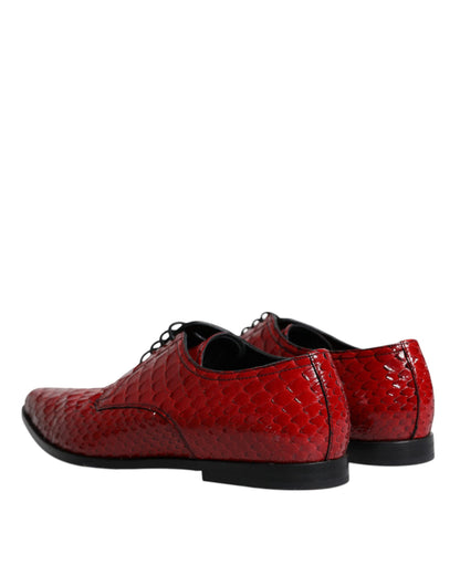 Dolce & Gabbana Red Textured Varnished Derby Men Formal Shoes