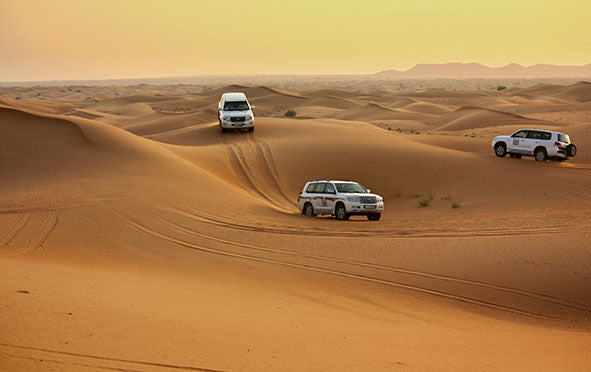 DUBAI - DESERT SAFARI