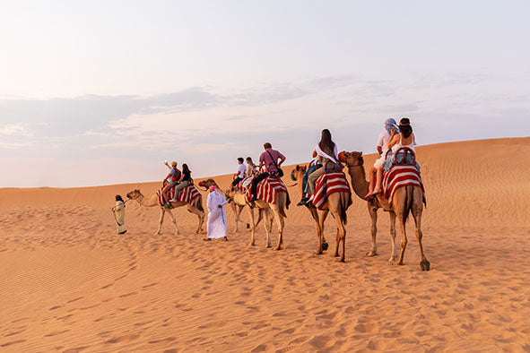 DUBAI - DESERT SAFARI